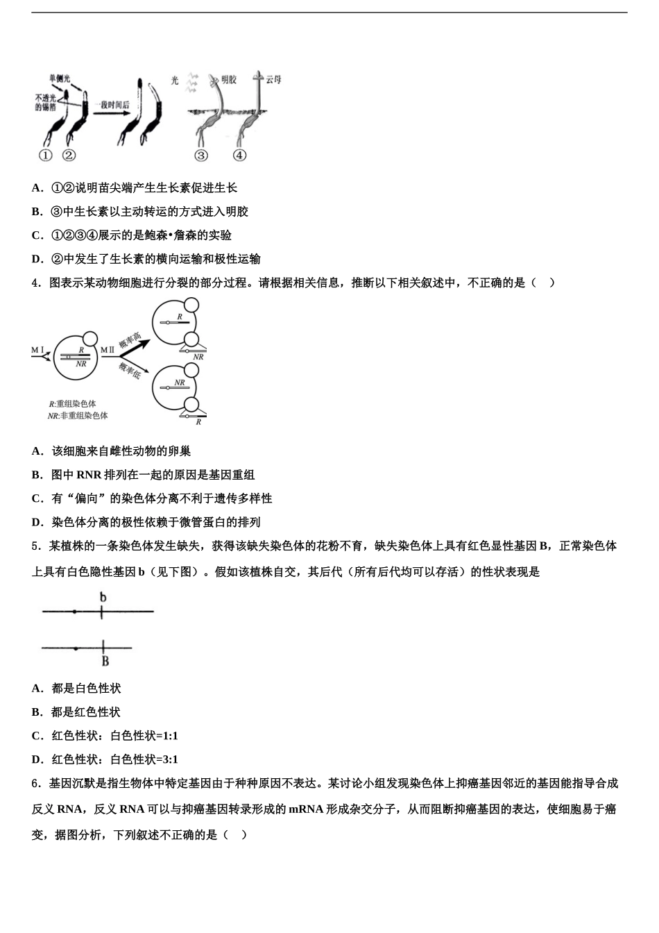 2024年辽宁省瓦房店市高考适应性考试生物试卷含解析_第2页
