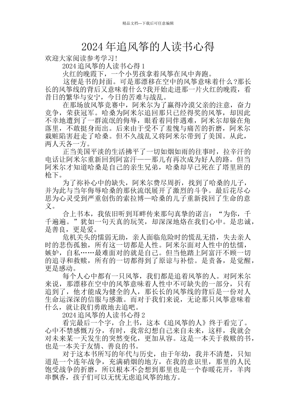 2024年追风筝的人读书心得_第1页