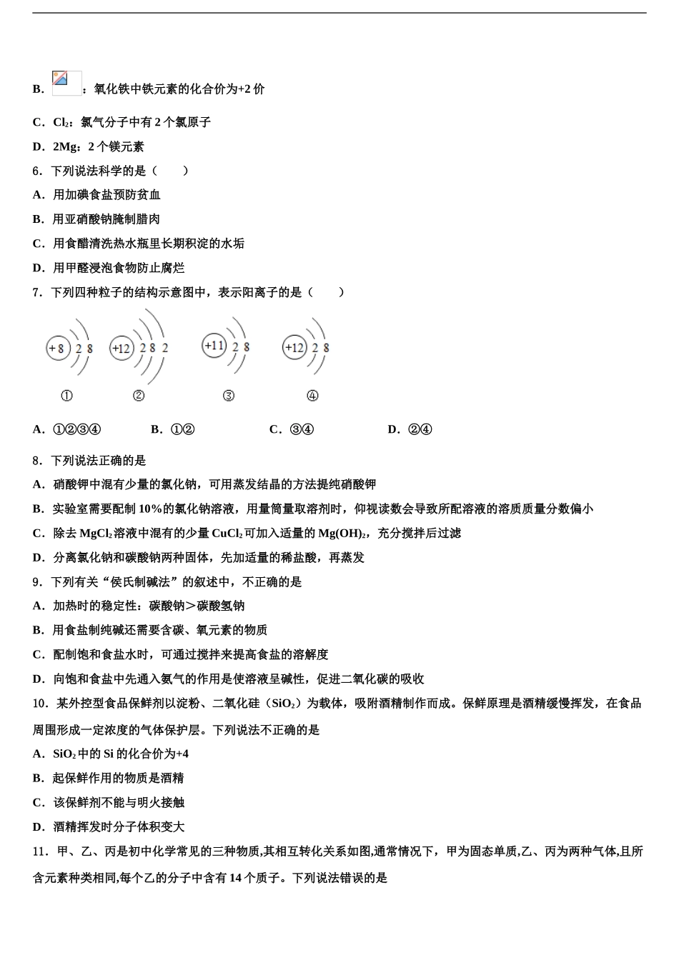 2024年重庆市凤鸣山中学中考化学模拟精编试卷含解析_第2页