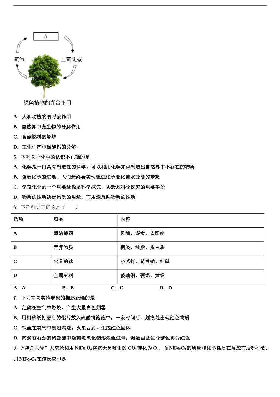 2024年重庆市彭水县中考化学最后冲刺浓缩精华卷含解析_第2页