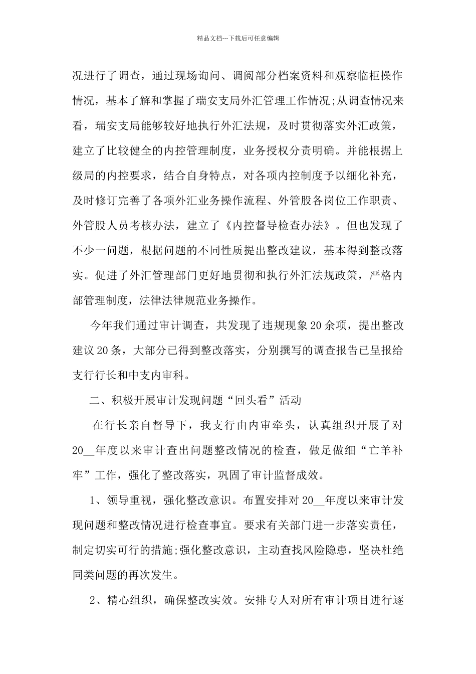 2024年银行审计人员个人工作总结5篇_第2页