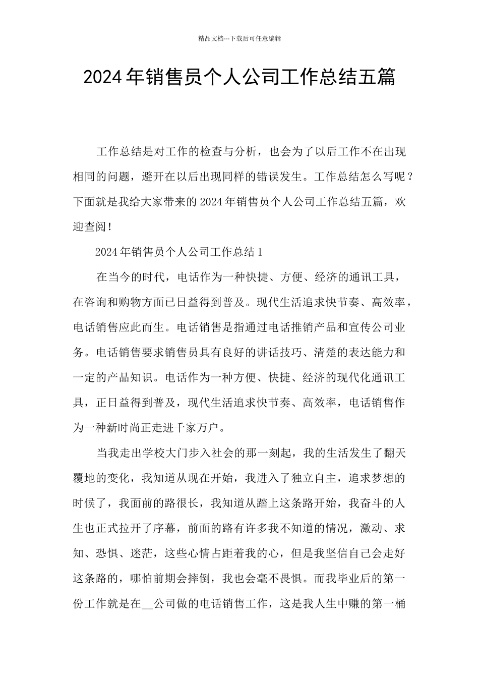 2024年销售员个人公司工作总结五篇_第1页