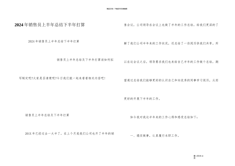 2024年销售员上半年总结下半年计划_第1页
