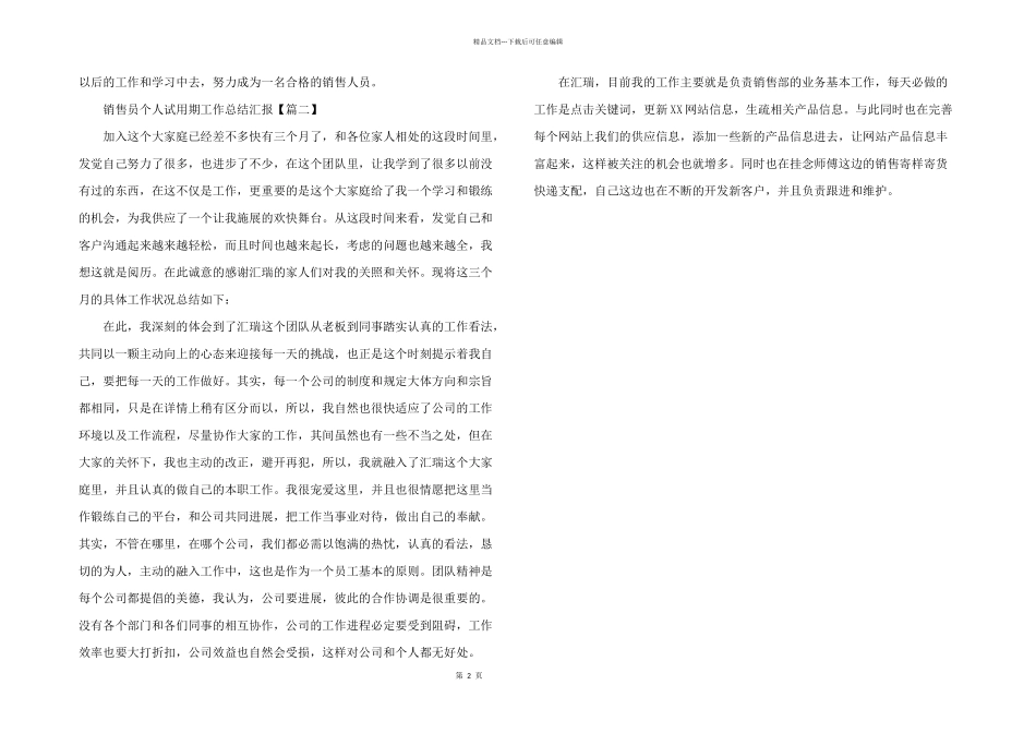2024年销售员个人试用期工作总结汇报_第2页