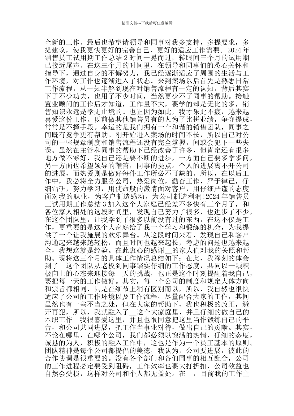 2024年销售员工试用期工作总结_第2页