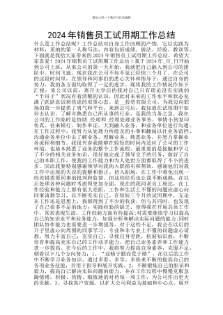 2024年销售员工试用期工作总结