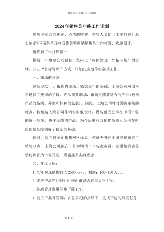 2024年销售员年终工作计划
