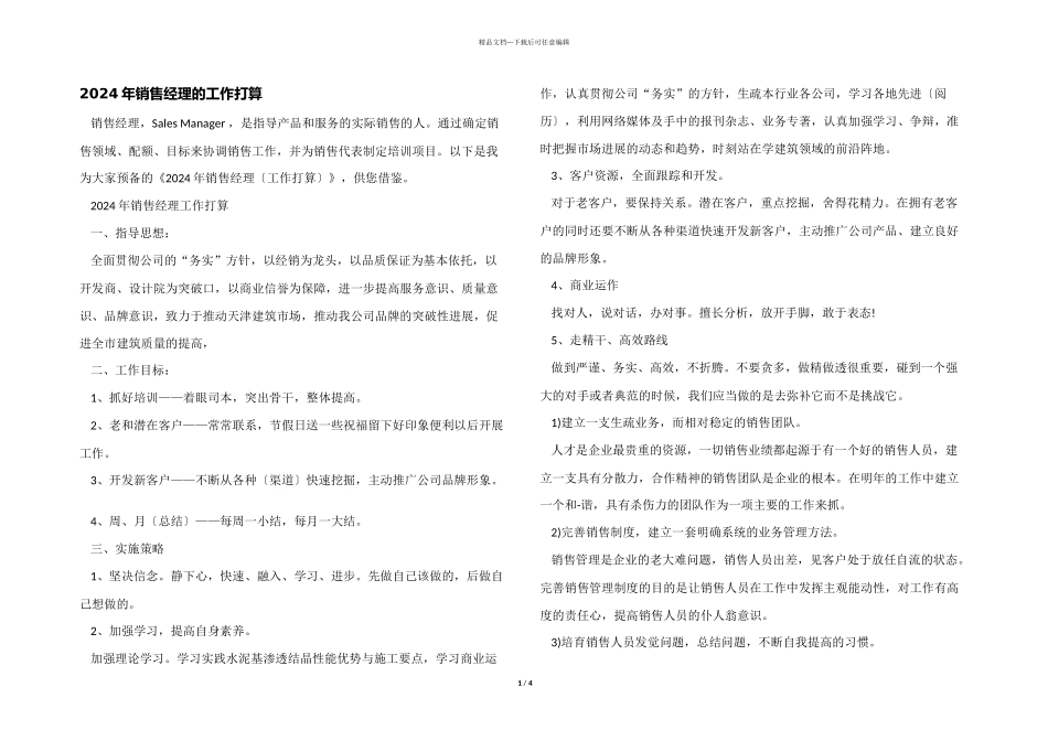 2024年销售经理的工作计划_第1页