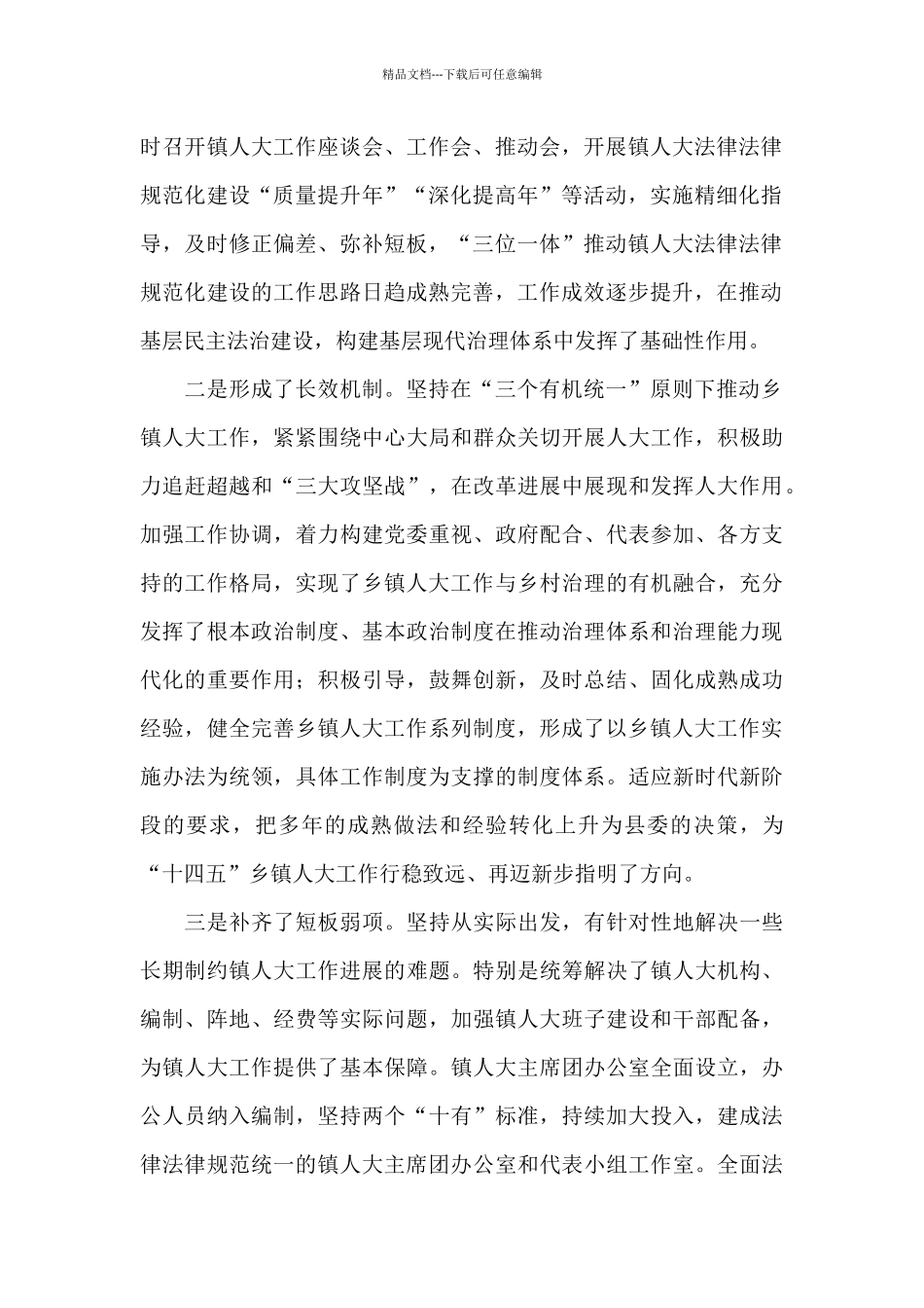 2024年镇人大工作安排讲话_第2页