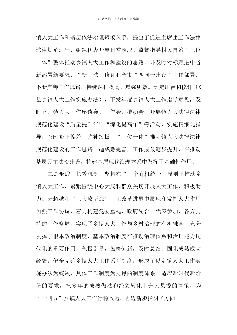 2024年镇人大工作总结会议上的讲话_第2页