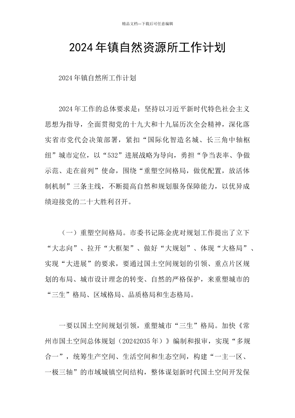 2024年镇自然资源所工作计划_第1页