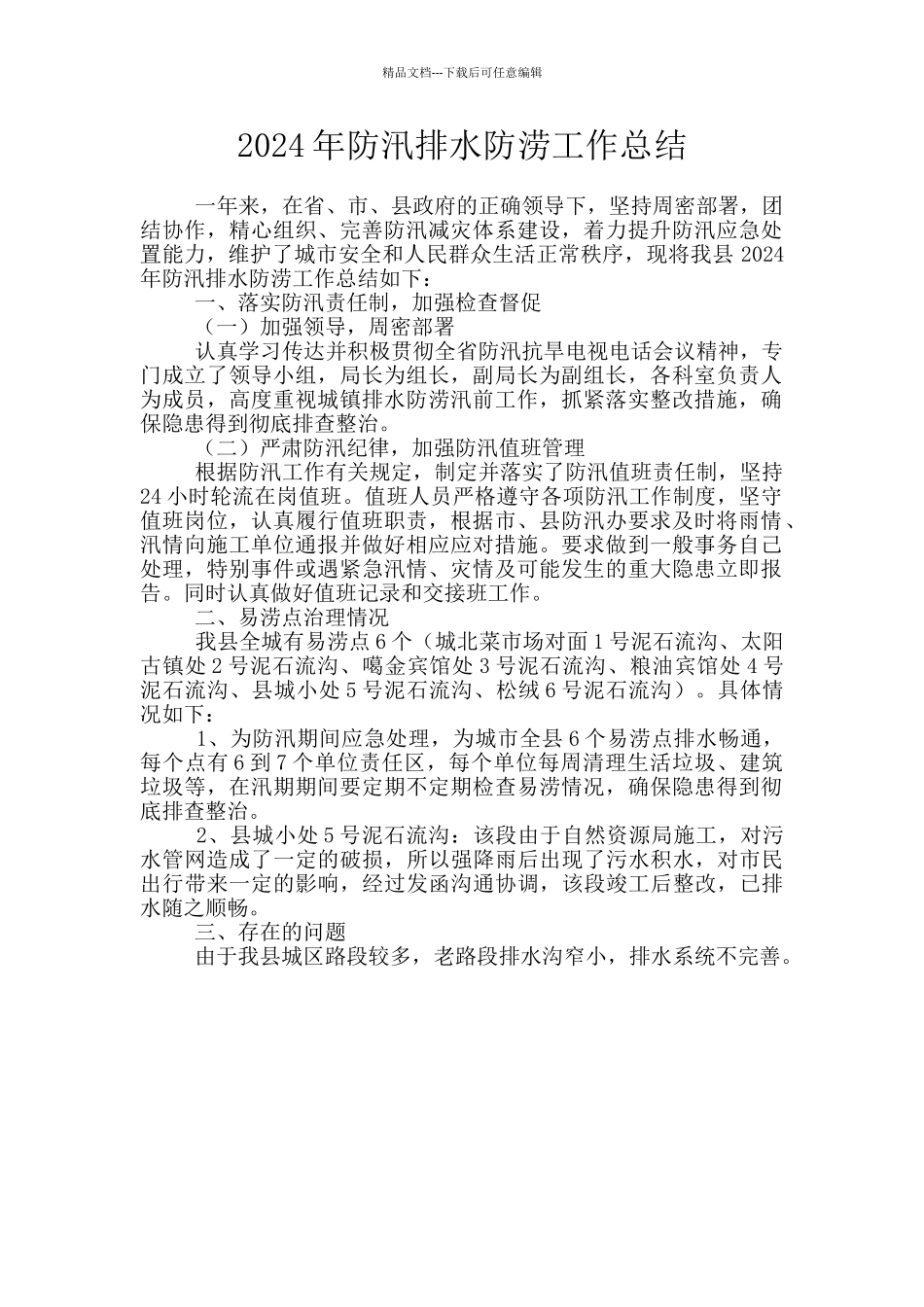 2024年防汛排水防涝工作总结_第1页