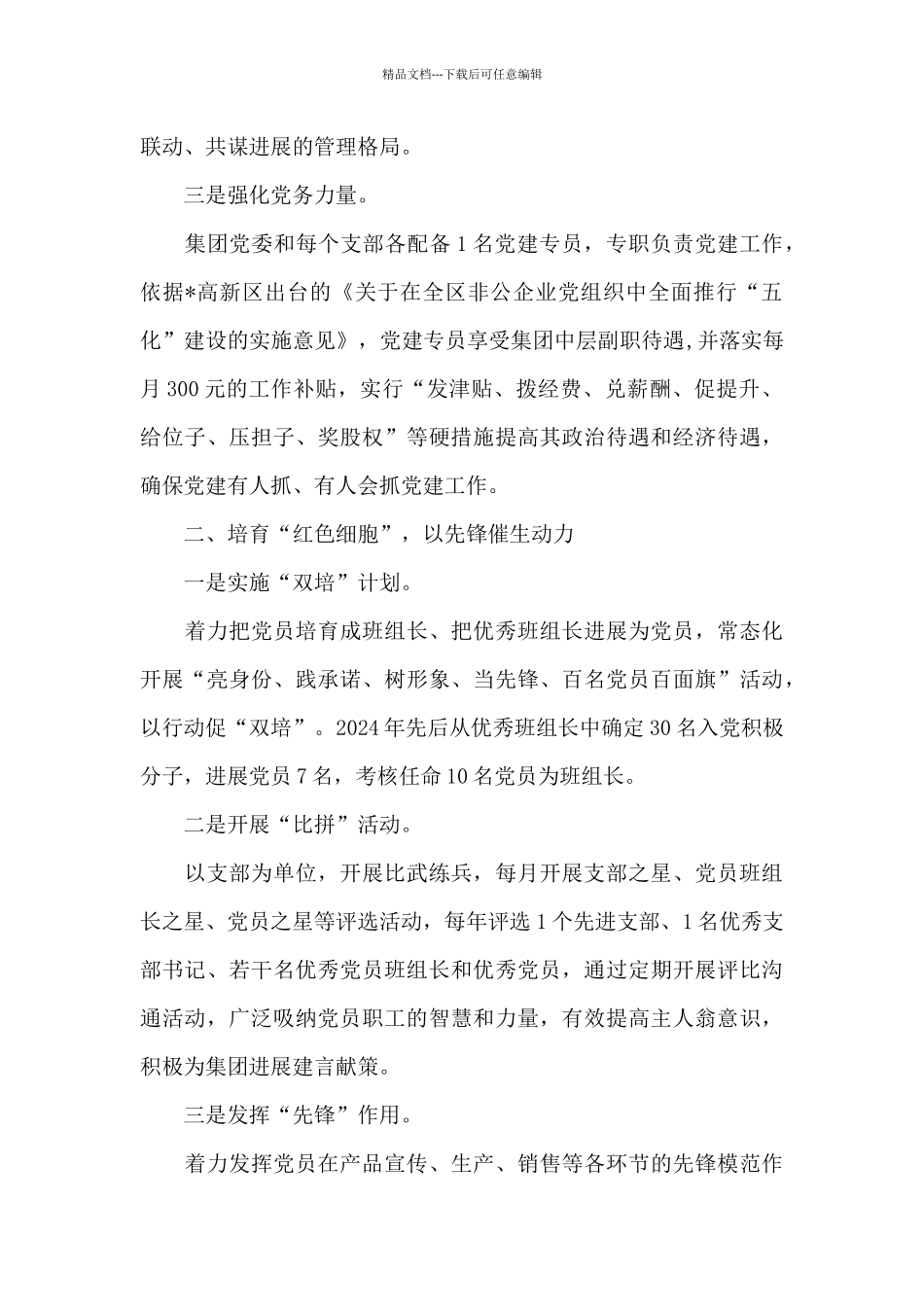 2024年集团公司党建“五化”经验材料_第2页