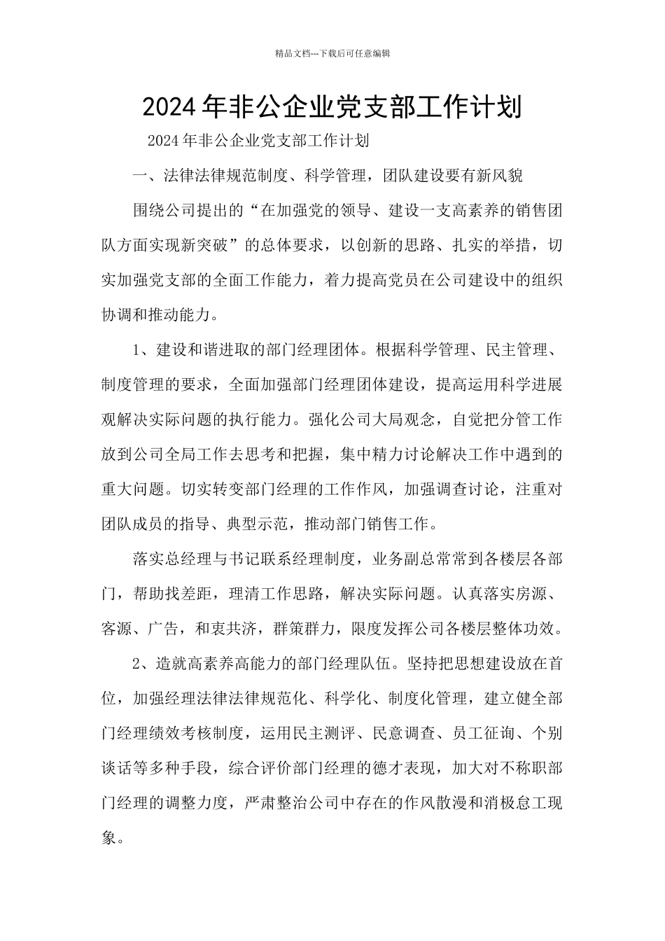 2024年非公企业党支部工作计划_第1页