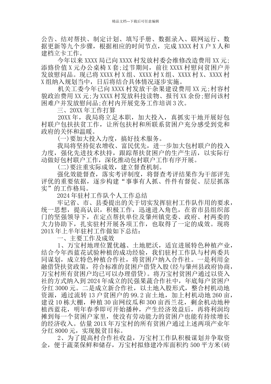 2024年驻村工作队个人工作总结_第2页