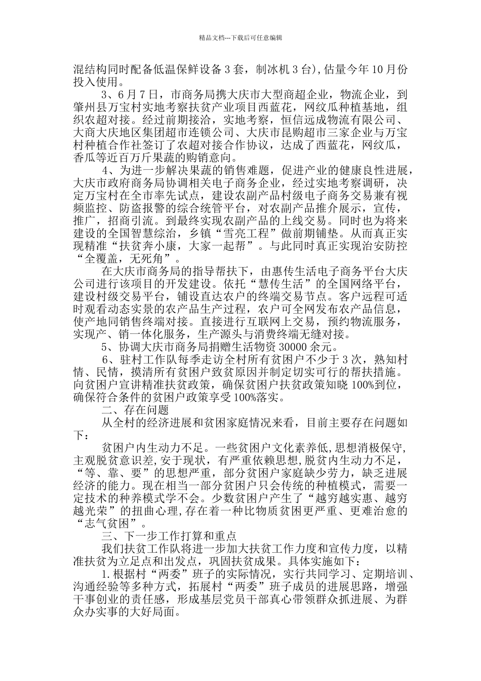 2024年驻村工作队个人工作总结_第3页