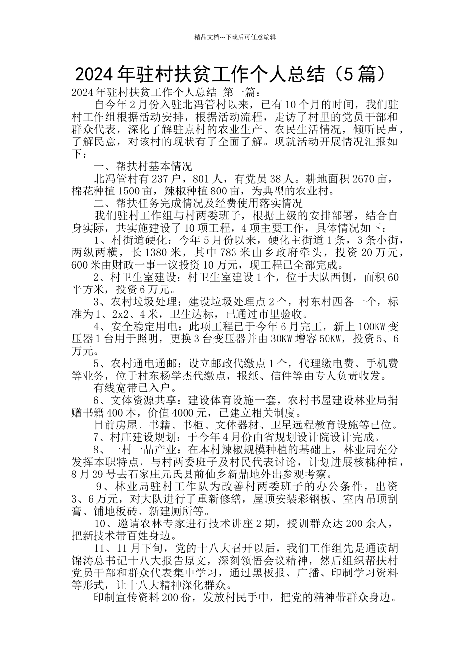 2024年驻村扶贫工作个人总结_第1页