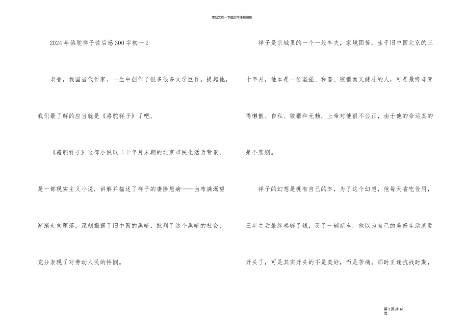 2024年骆驼祥子读后感300字初一_第3页