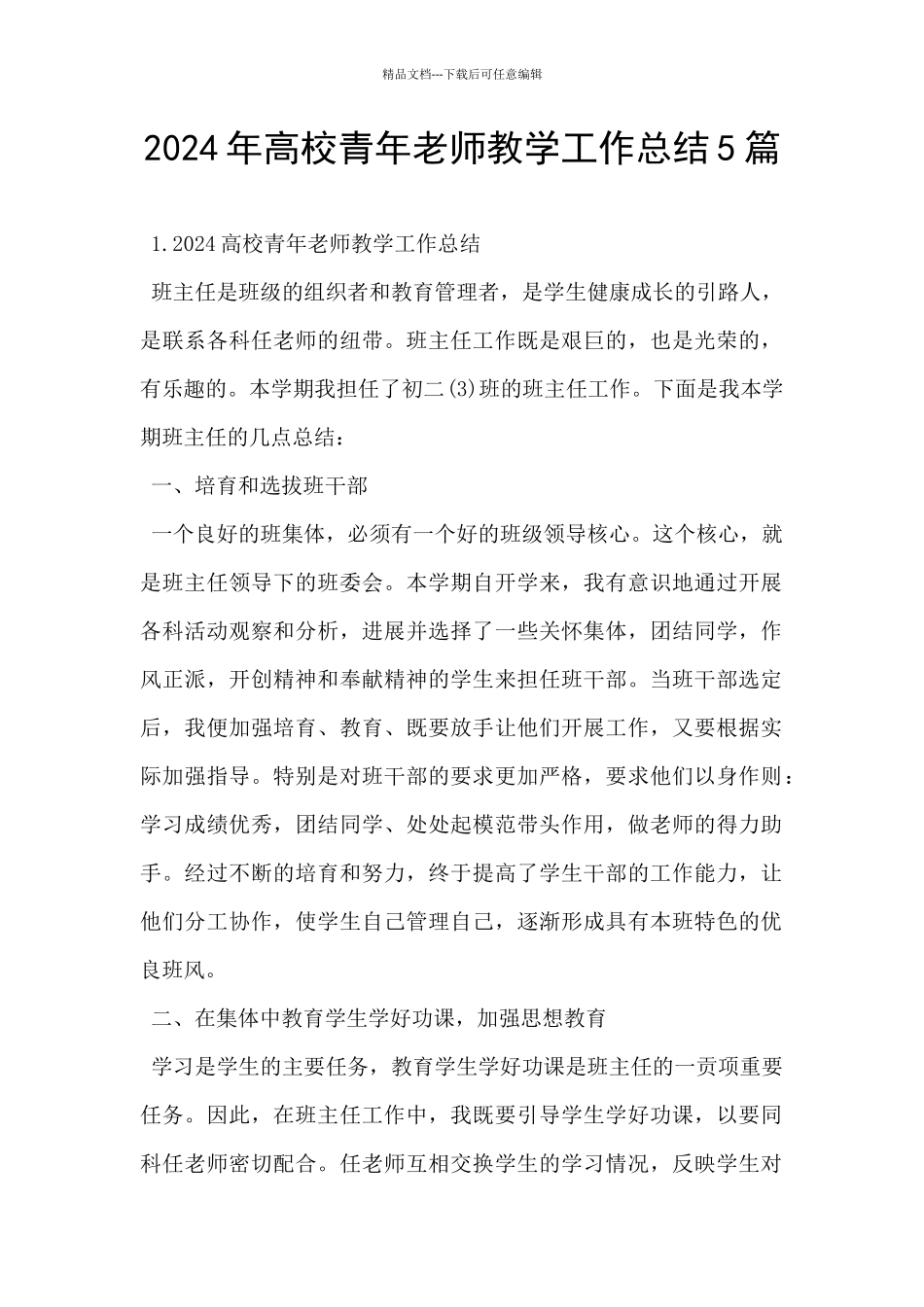 2024年高校青年教师教学工作总结5篇_第1页