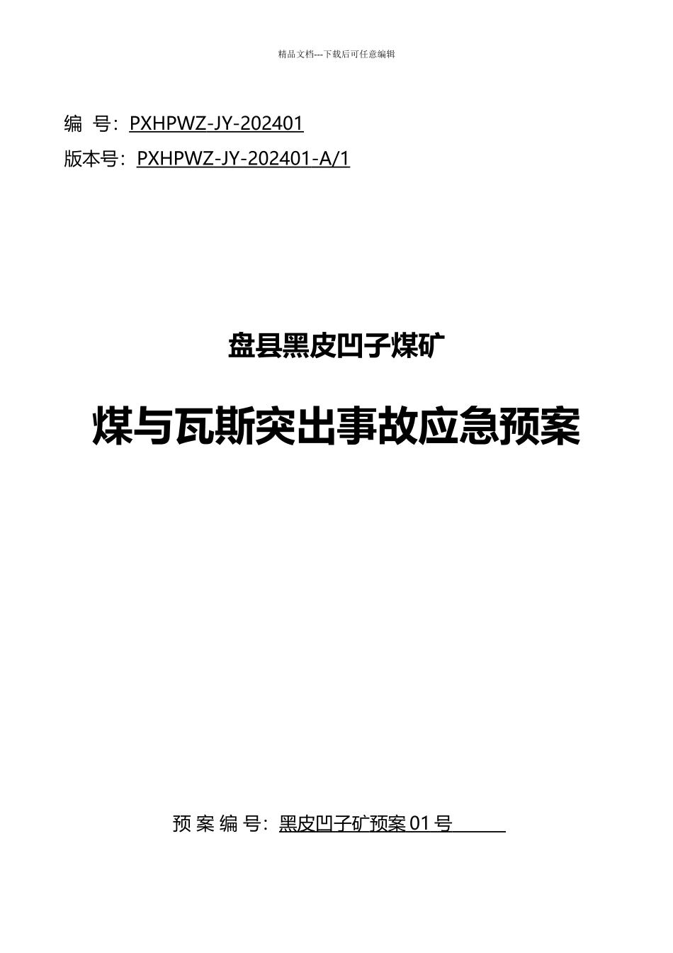 2024年黑皮凹子煤矿煤与瓦斯突出事故应急预案_第1页