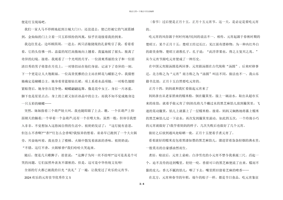 2024开心的元宵佳节优秀五篇_第3页