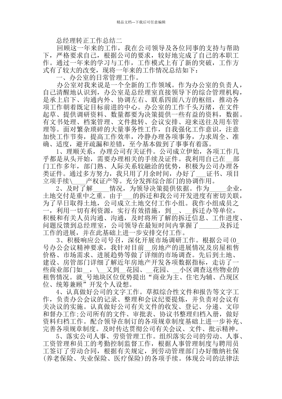 2024总经理转正工作总结范文_第2页