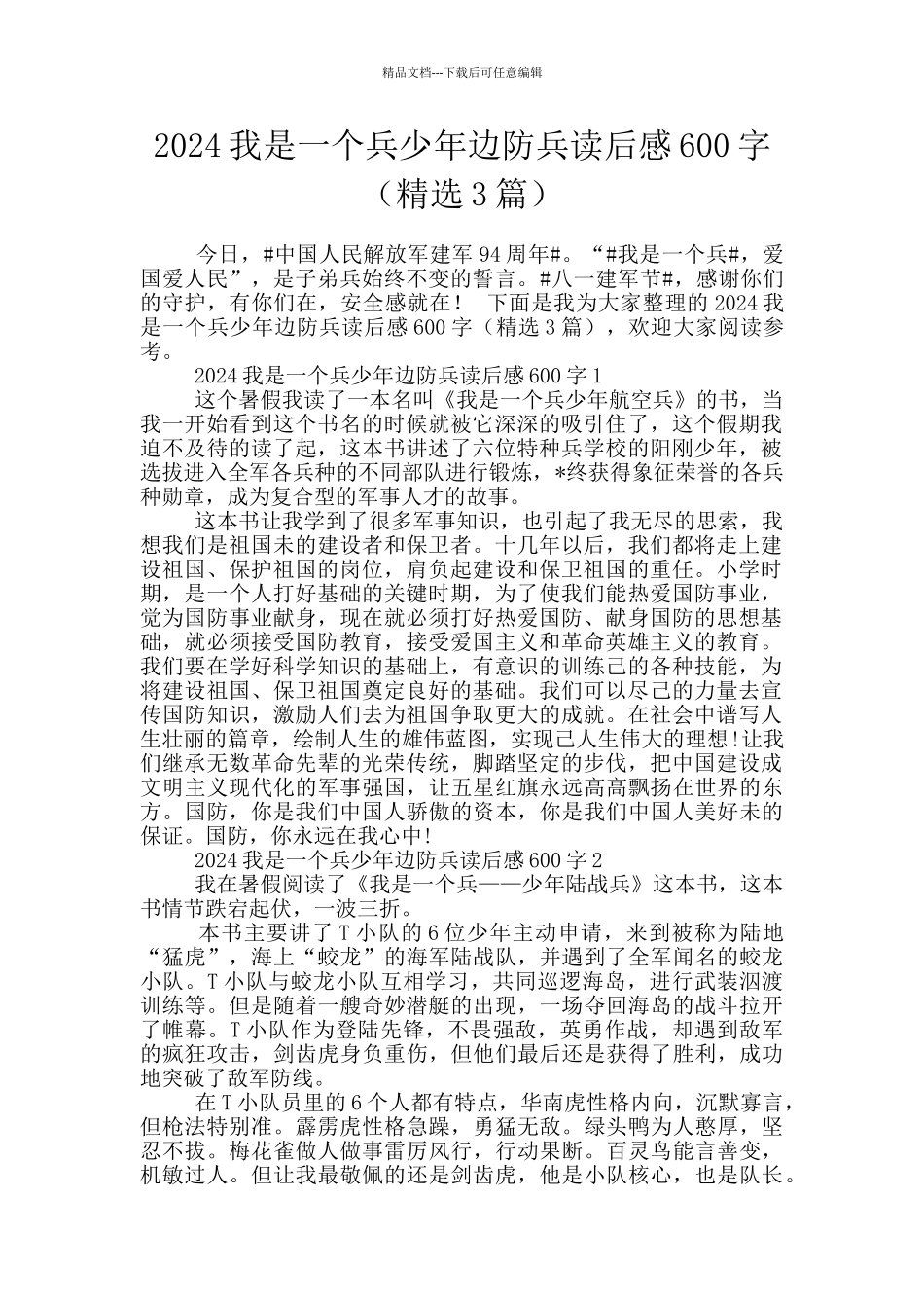 2024我是一个兵少年边防兵读后感600字_第1页