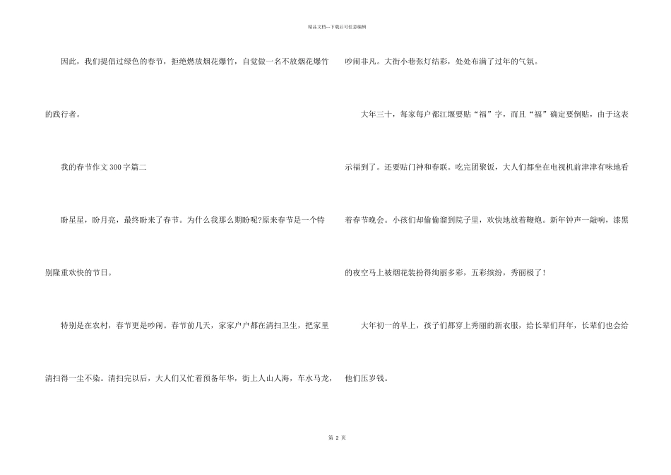 2024我的春节300字10篇_第2页