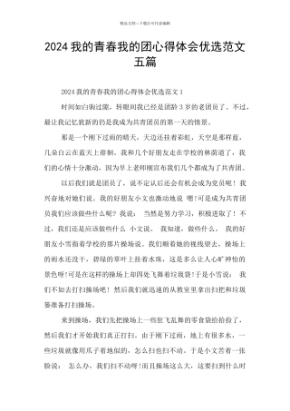 2024我的青春我的团心得体会优选范文五篇