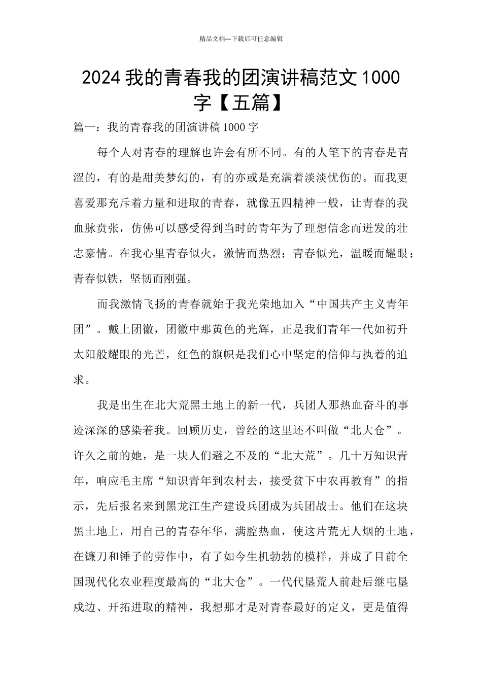 2024我的青春我的团演讲稿范文1000字_第1页