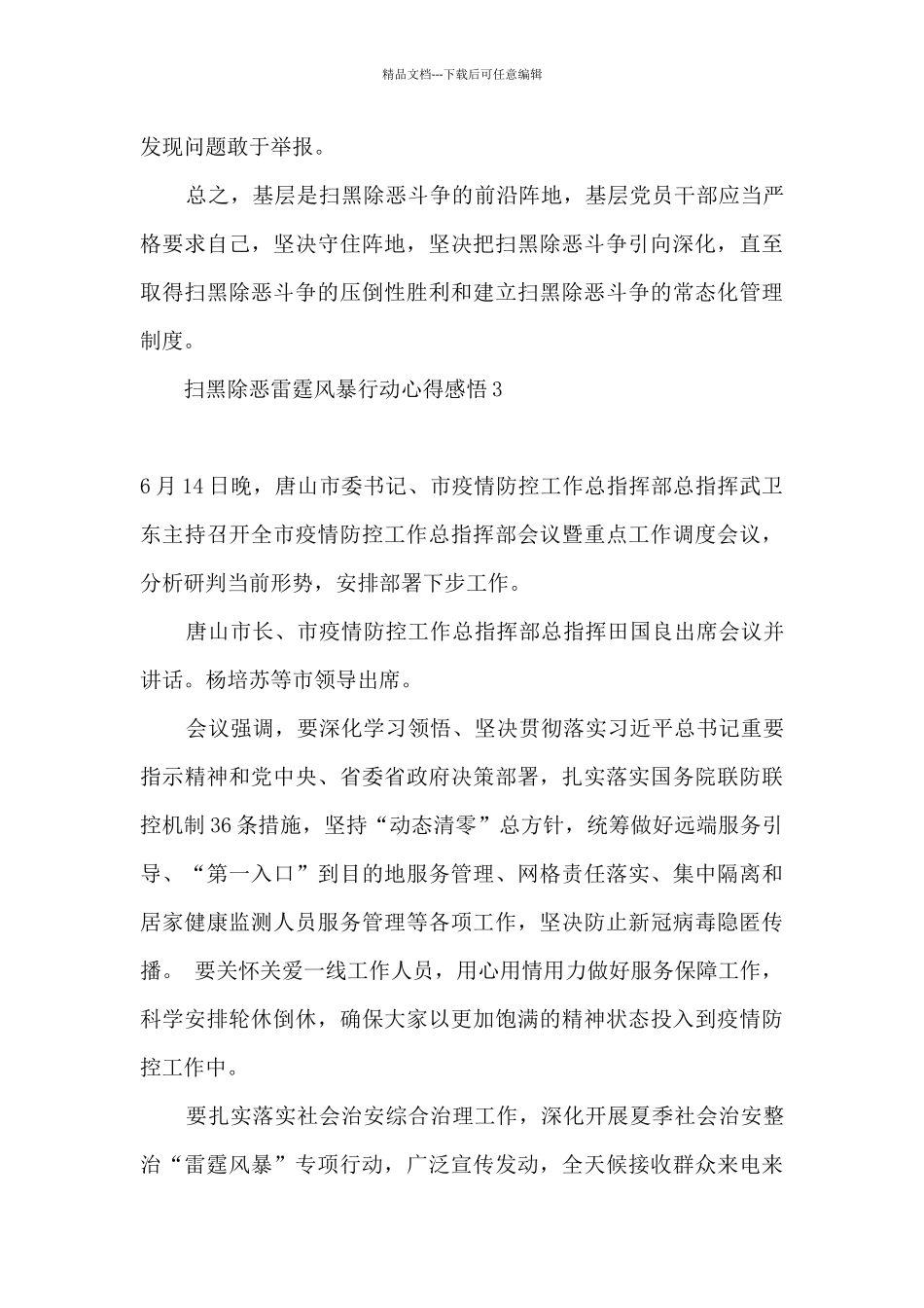 2024扫黑除恶雷霆风暴行动心得体会精选四篇_第3页