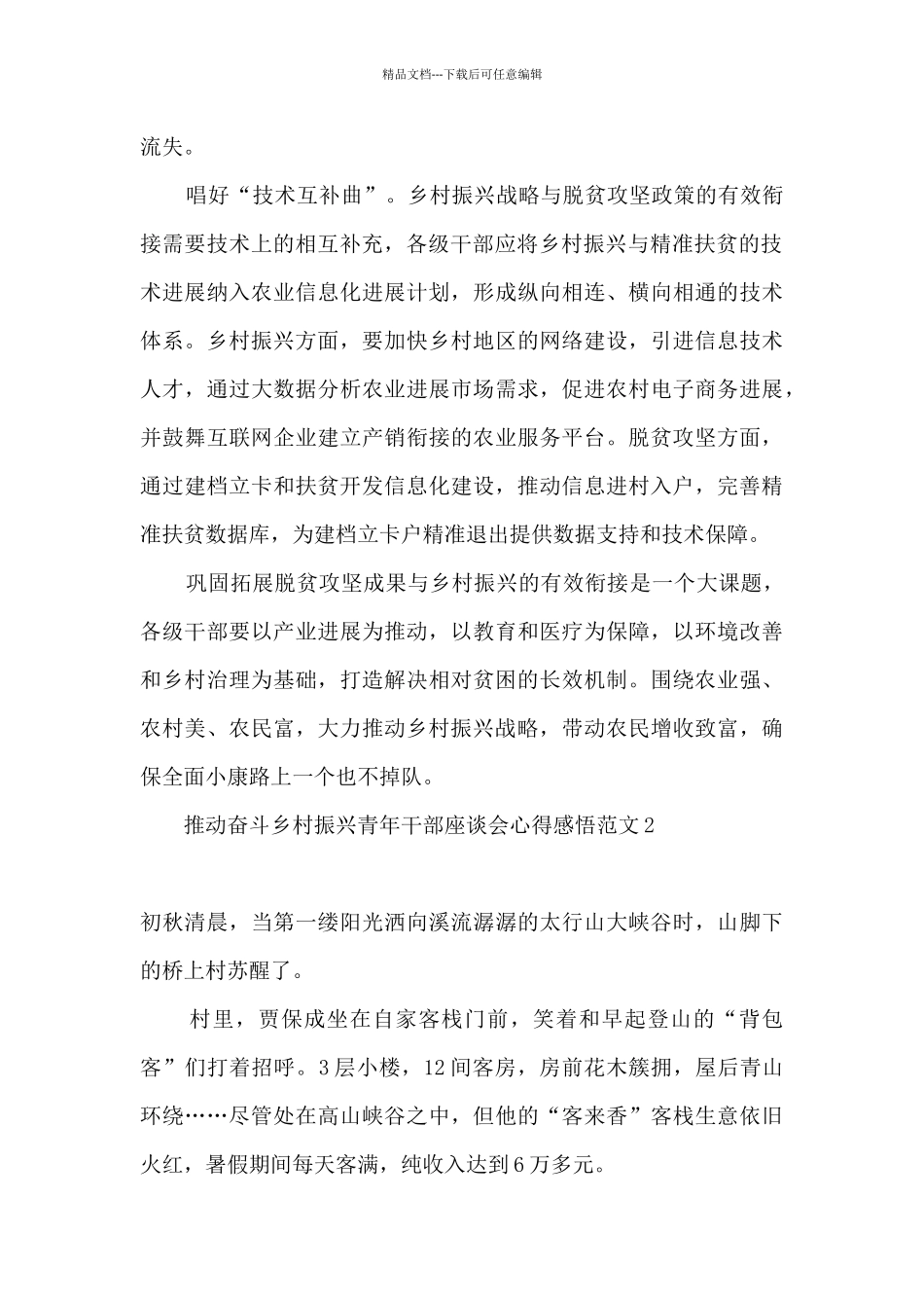 2024推动奋斗乡村振兴青年干部座谈会心得体会五篇_第2页