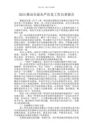 2024推进全面从严治党工作自查报告