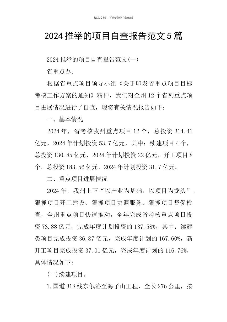 2024推荐的项目自查报告范文5篇_第1页
