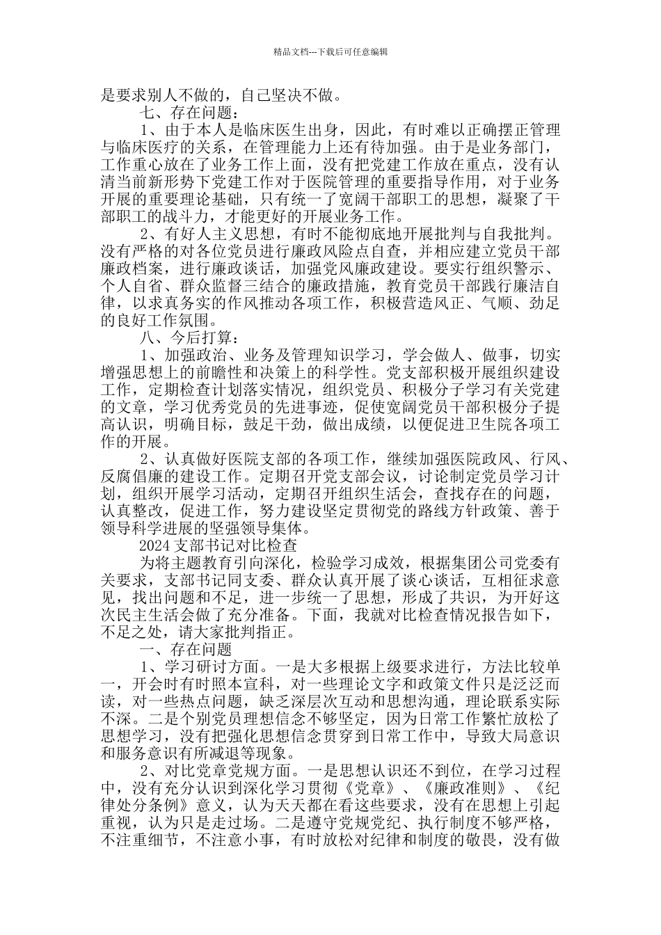 2024支部书记对照检查_第3页