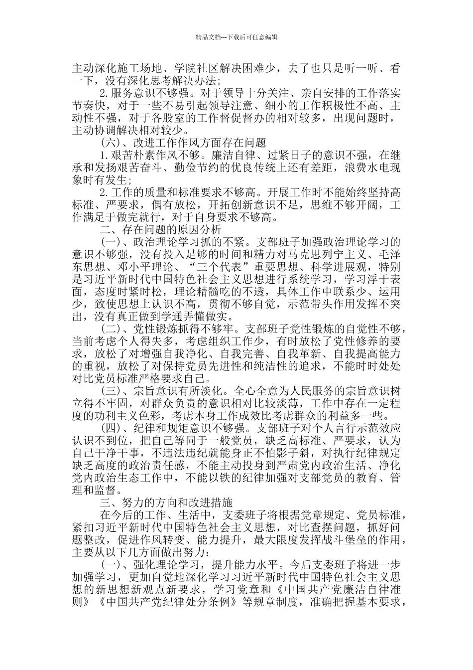 2024支部班子对照检查_第2页