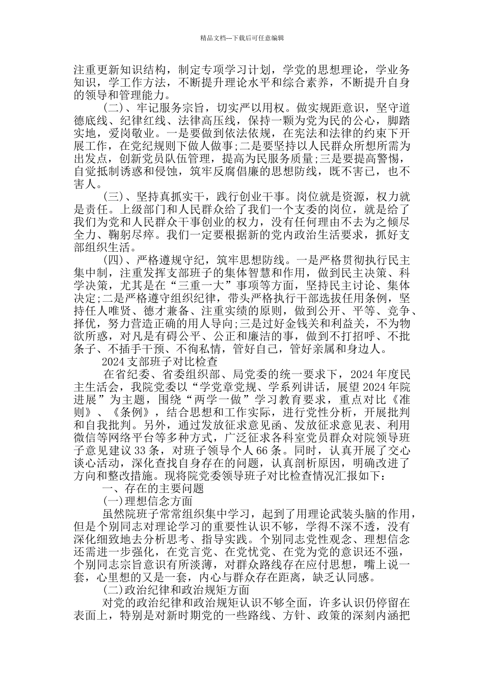 2024支部班子对照检查_第3页