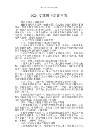 2024支部班子对照检查