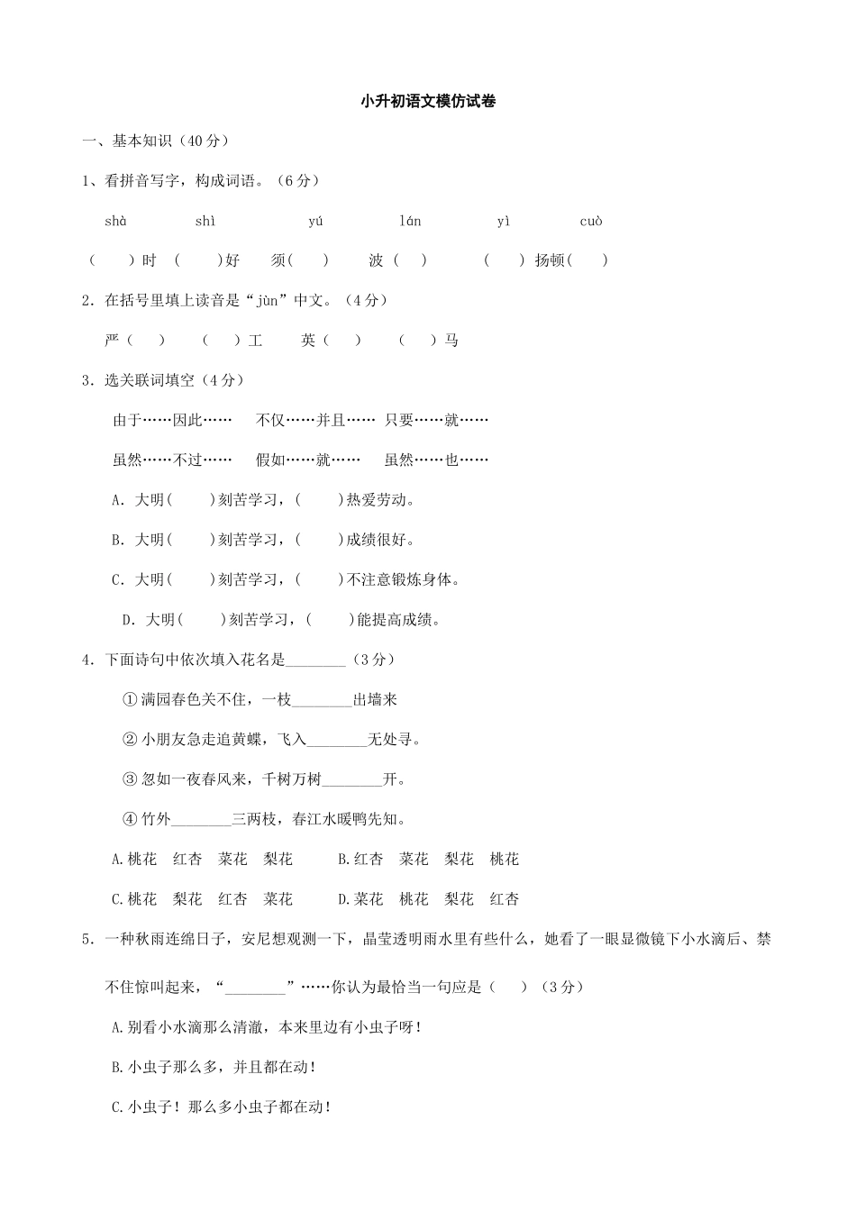 2025年小升初语文模拟试卷语文_第1页