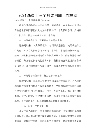 2024新员工三个月试用期工作总结