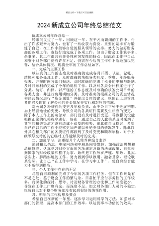 2024新成立公司年终总结范文