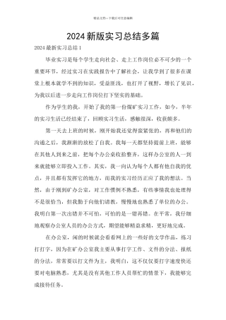 2024新版实习总结多篇