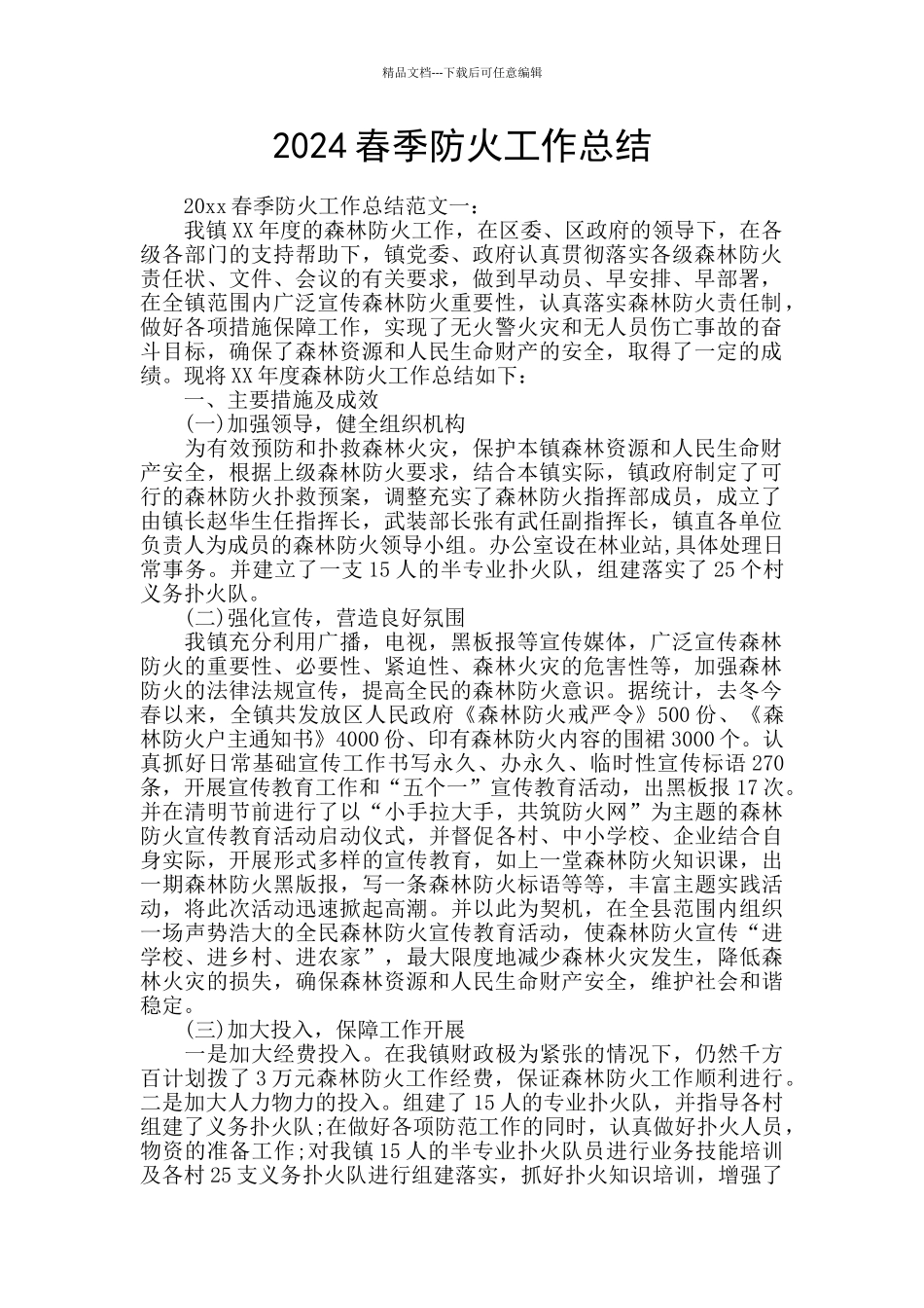 2024春季防火工作总结_第1页