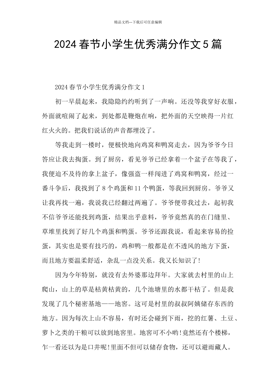 2024春节小学生优秀满分作文5篇_第1页