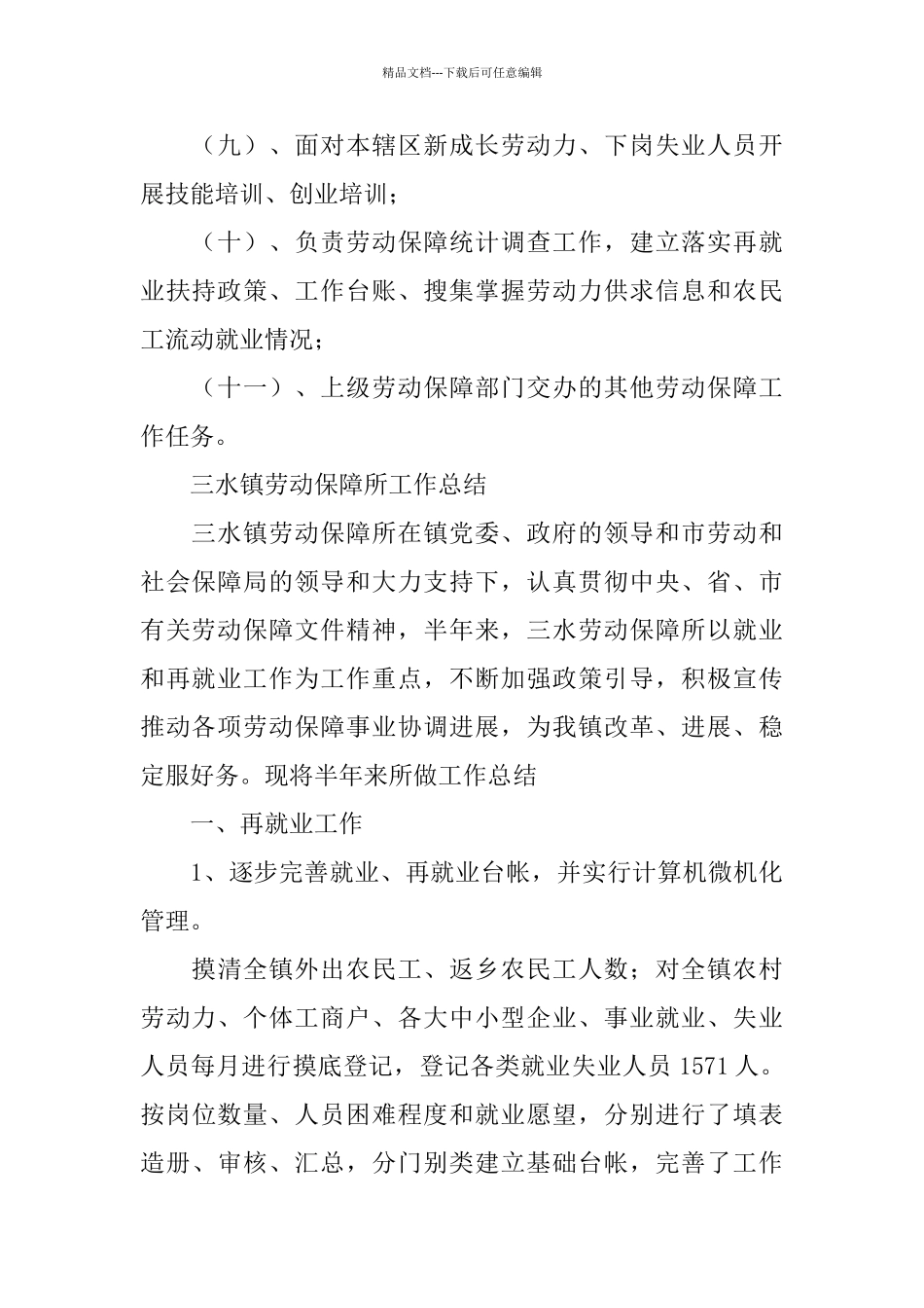 2024最新乡镇劳保所工作总结范文_第2页