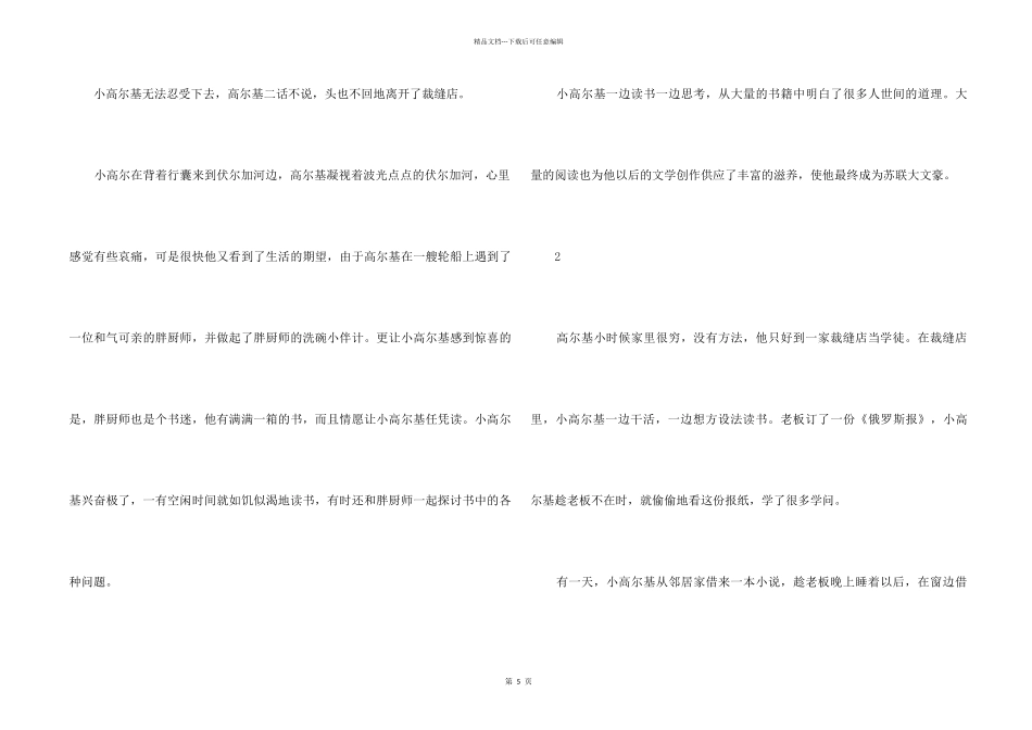 2024有关高尔基的读书故事大全_第2页