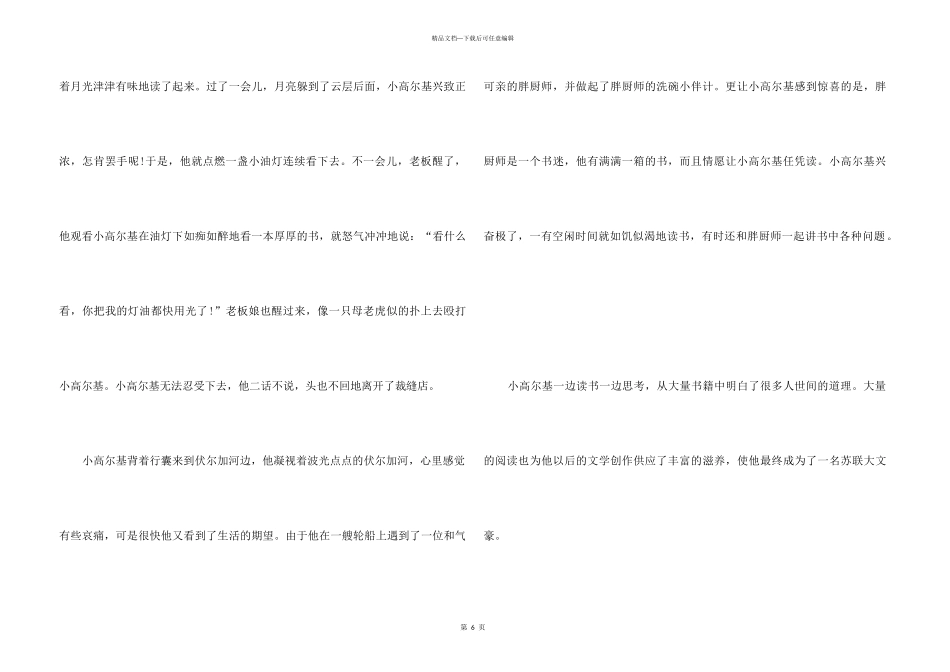 2024有关高尔基的读书故事大全_第3页