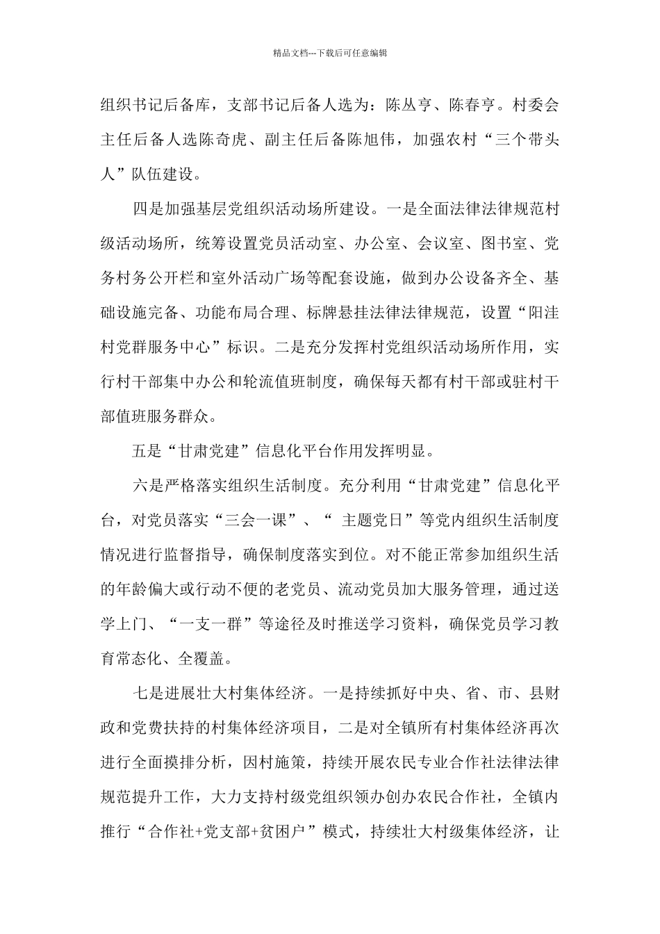 2024村党支部工作总结_第2页