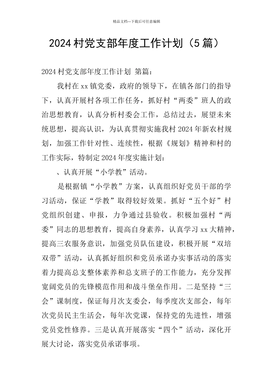 2024村党支部年度工作计划_第1页
