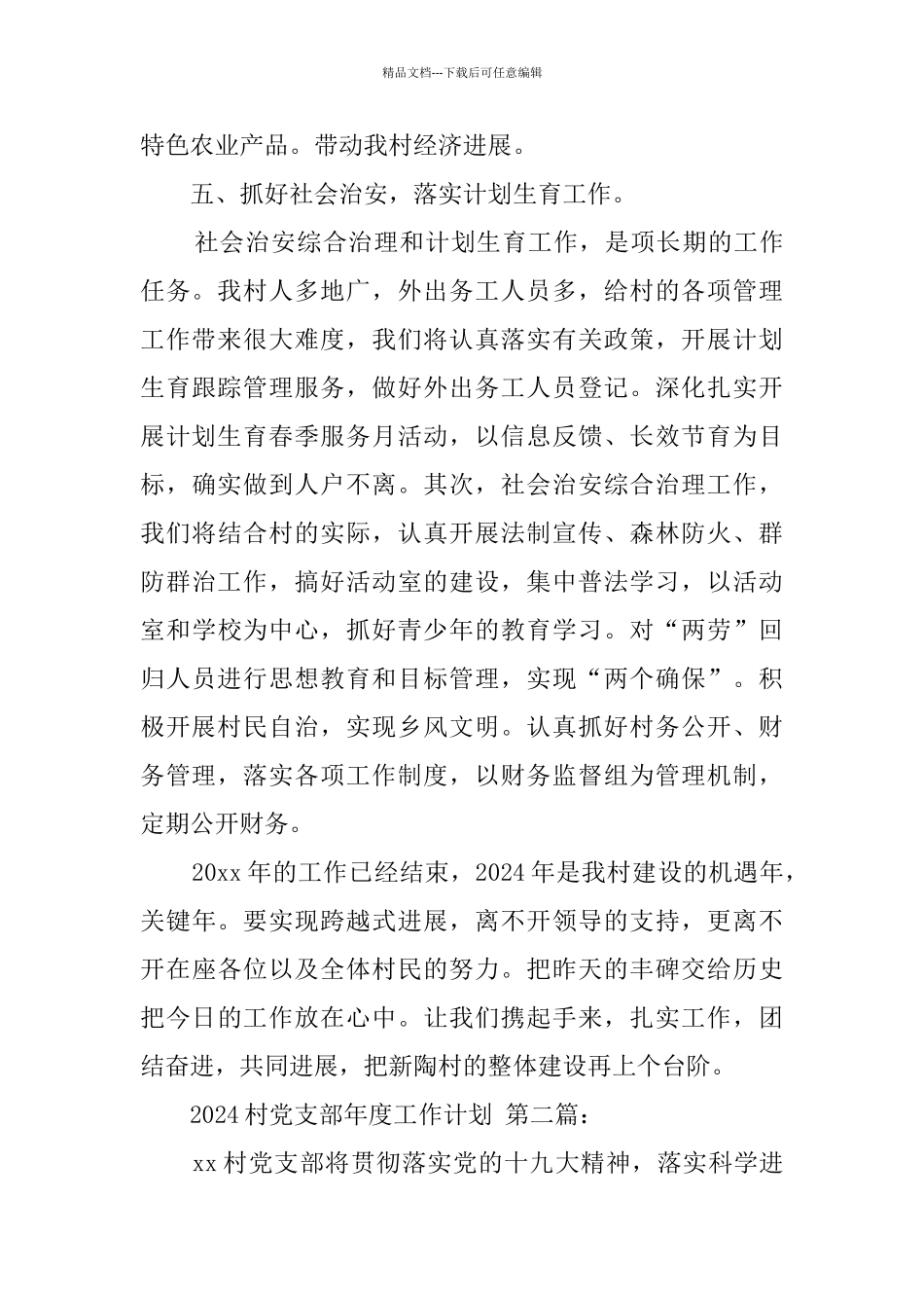 2024村党支部年度工作计划_第3页